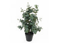 Kunstplant Eucalyptusblad