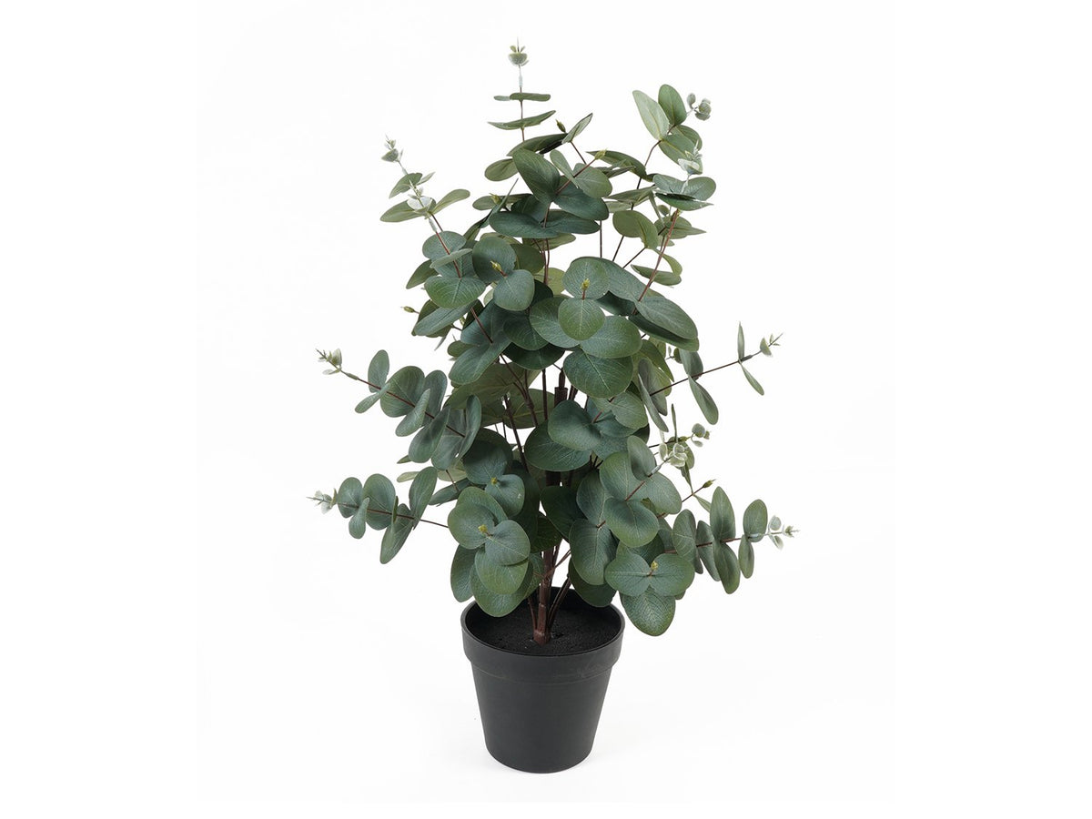 Kunstplant Eucalyptusblad