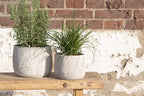 Bloempot Ø 14x11 cm Beige Steen Plantenpot