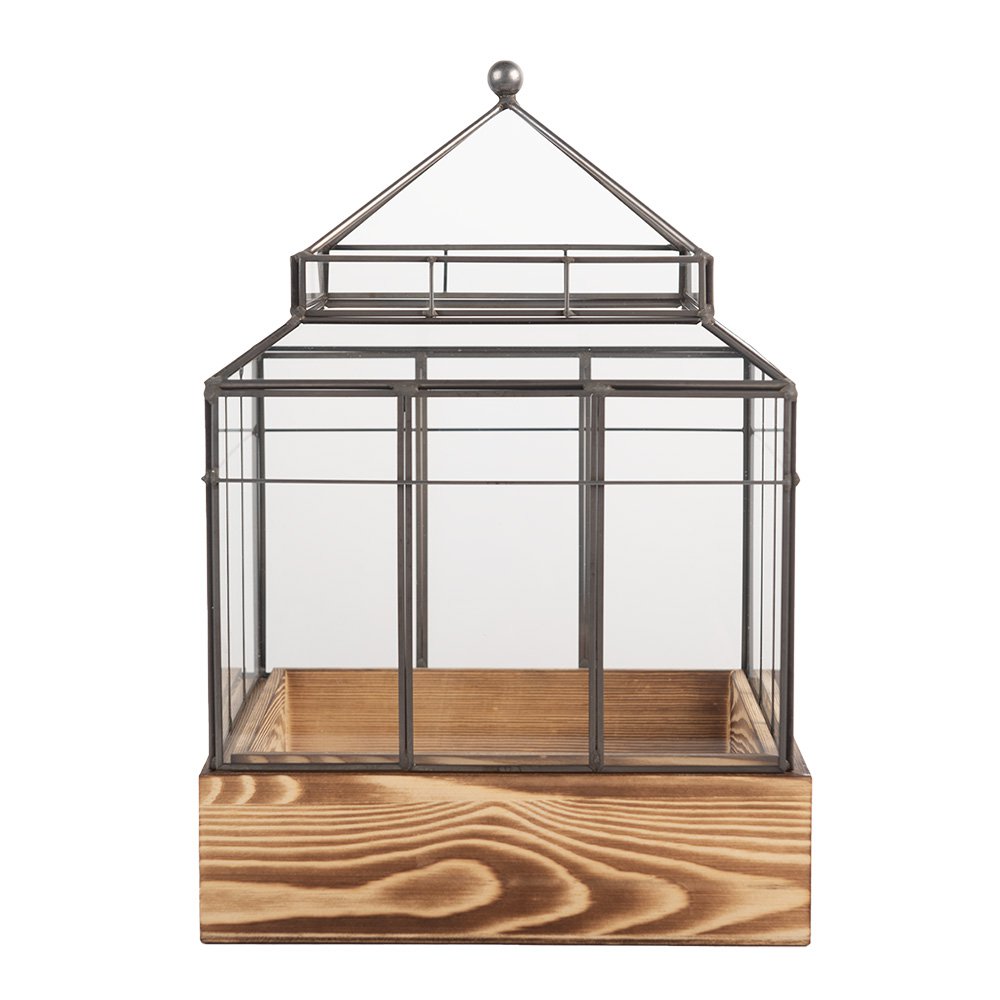 Decoratie KweekKastje 21x21x32 cm transparant Glas
