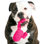 Franzi Flamingo - cultspeelgoed voor honden