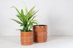 Bana pot sh bleke rosso