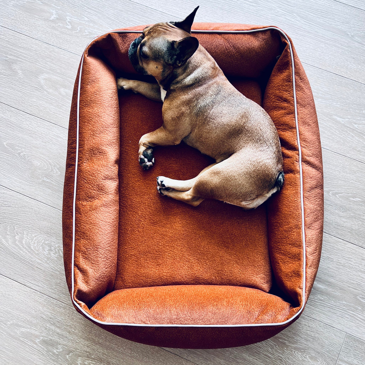 Buffel Ortho | Premium orthopedisch hondenbed