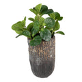 Bloempot Ø 15x24 cm Grijs Magnesium (MGO) Bloempot Binnen