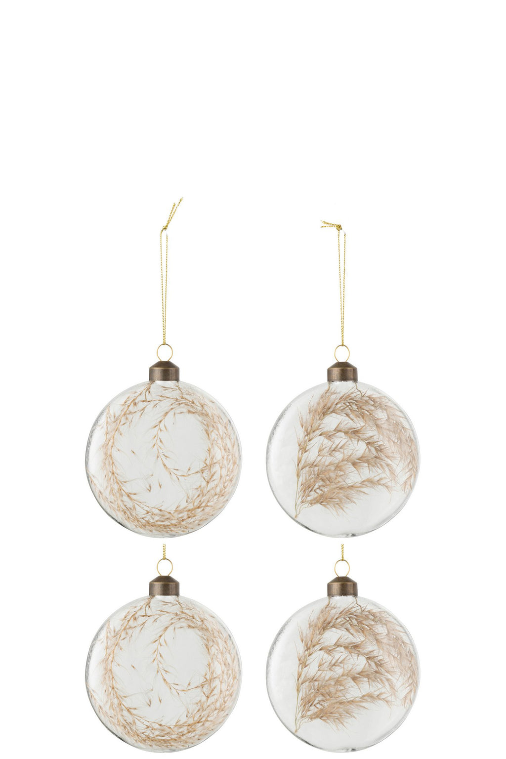 J-Line kerstbal Gedroogde Pampas - glas - transparant - M - doos van 4