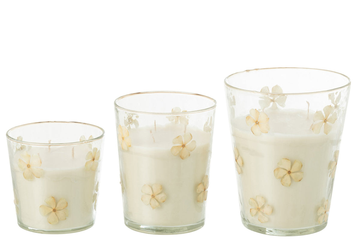 J-Line geurkaars Bloemen - Tender Rose - glas - transparant - L - 75U