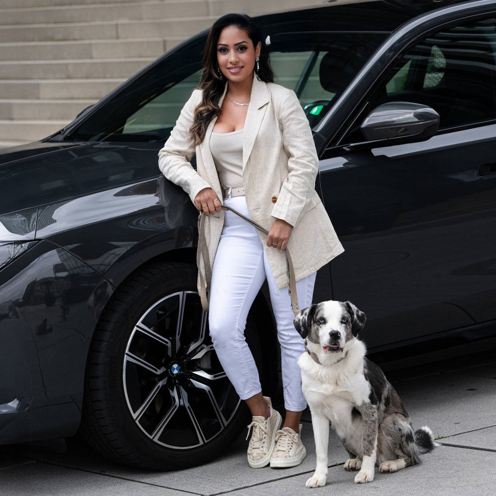 Giro leren halsband voor honden
