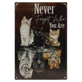 Katten Retro Wandbord 30x20