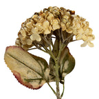 Kunstbloem 15x15x47 cm Beige Kunststof