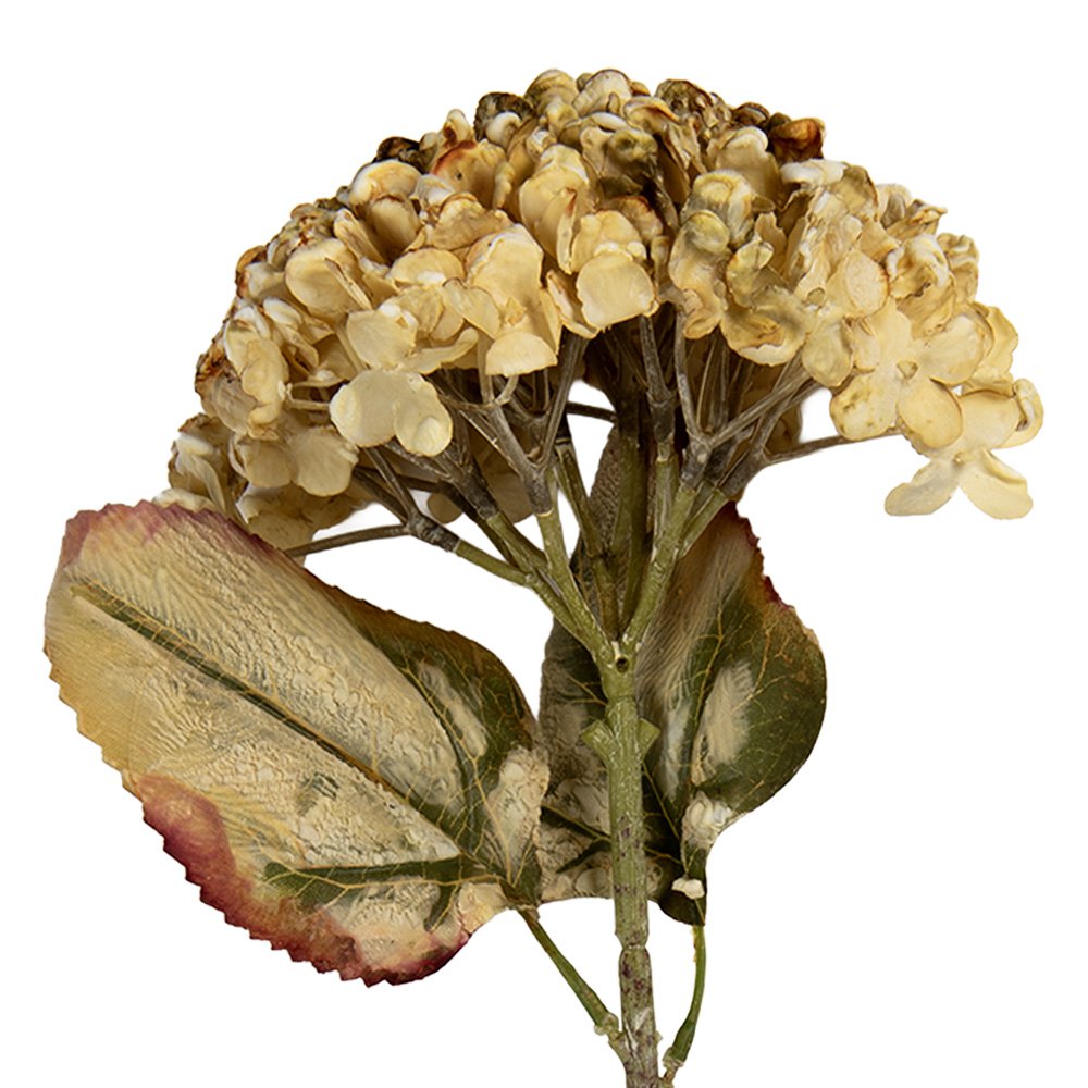 Kunstbloem 15x15x47 cm Beige Kunststof
