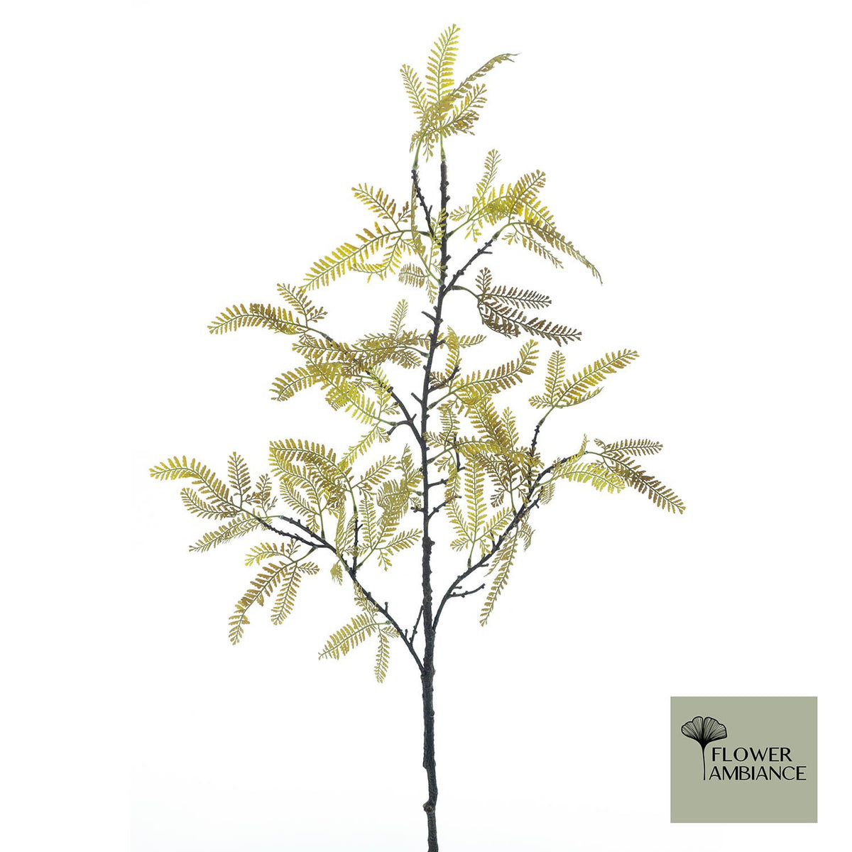Mimosatak groen 119cm