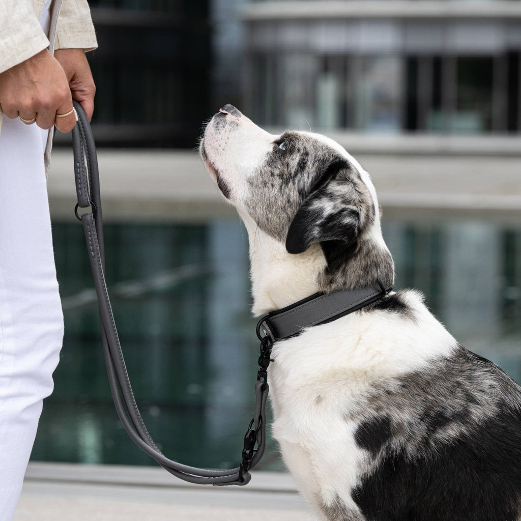 Laboni Amici – Rondgestikte leren riem