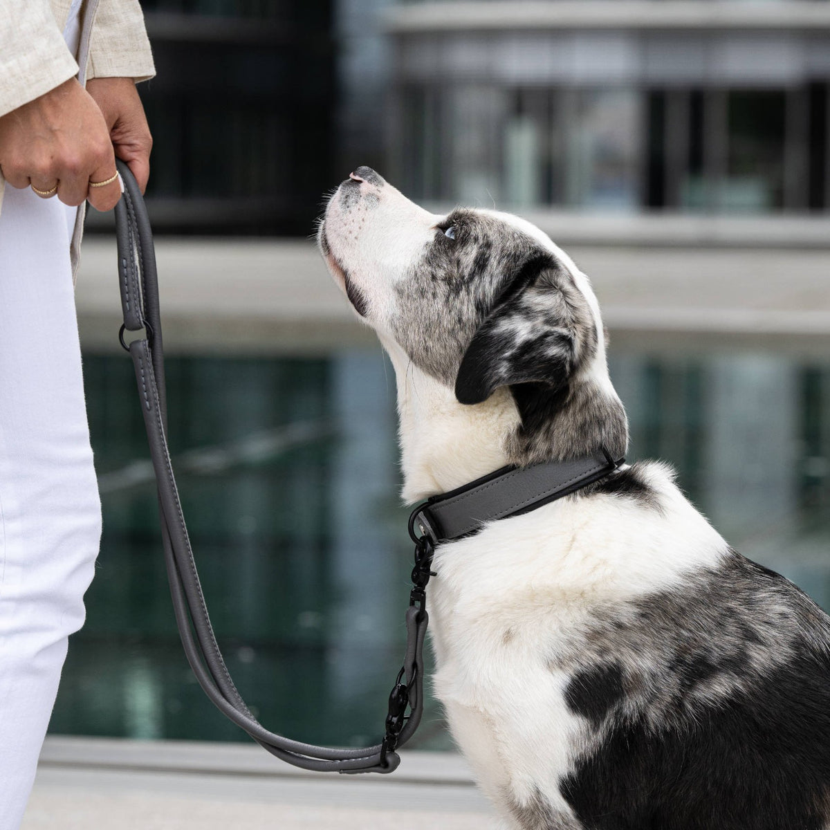 Laboni Amici – Rondgestikte leren riem