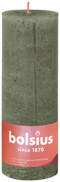 Shine rustiekkaars 190/68 Fresh Olive