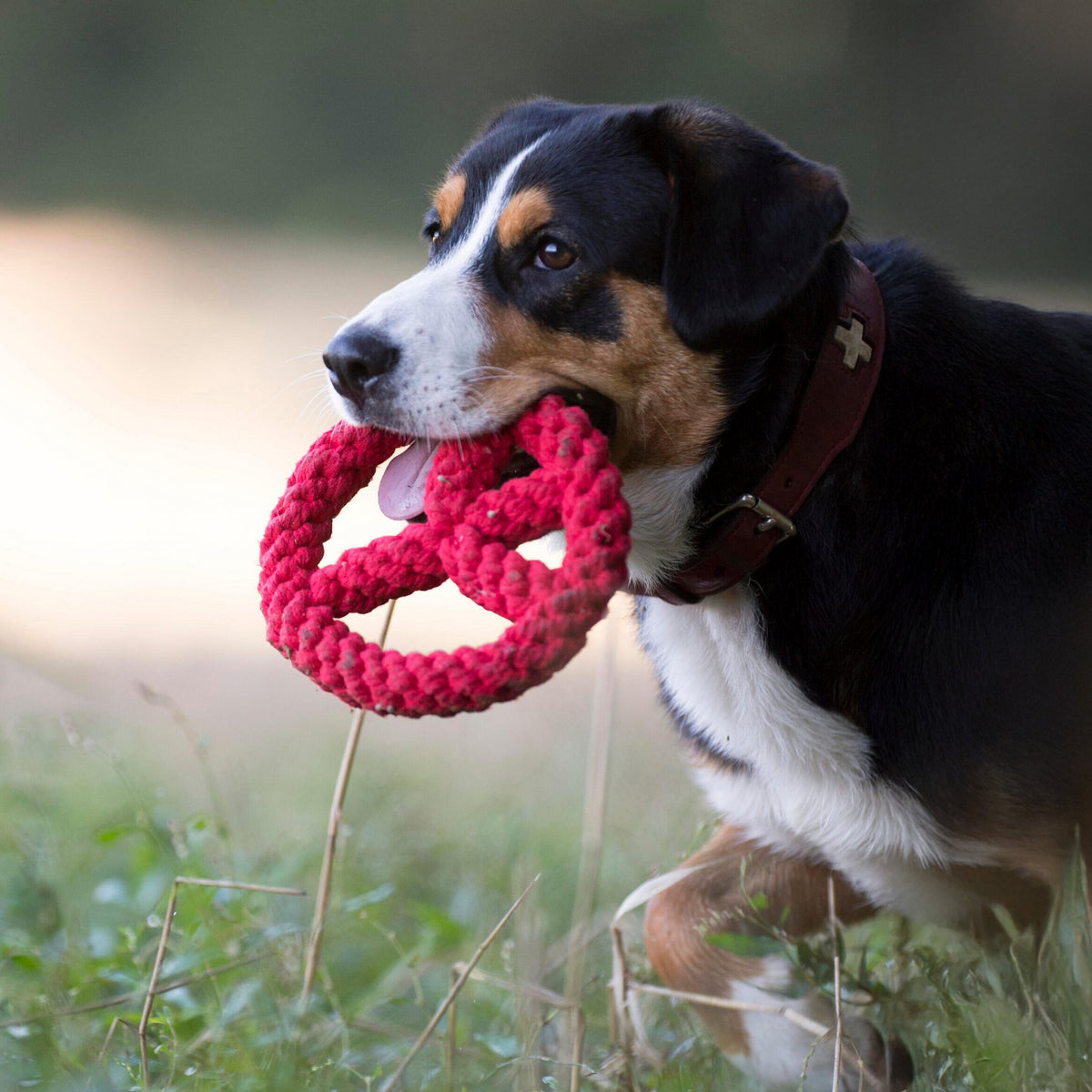 Paula & Paulchen Peace - cultspeelgoed voor honden
