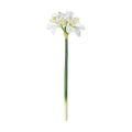 Kunstbloem Molave Wit 21x63cm