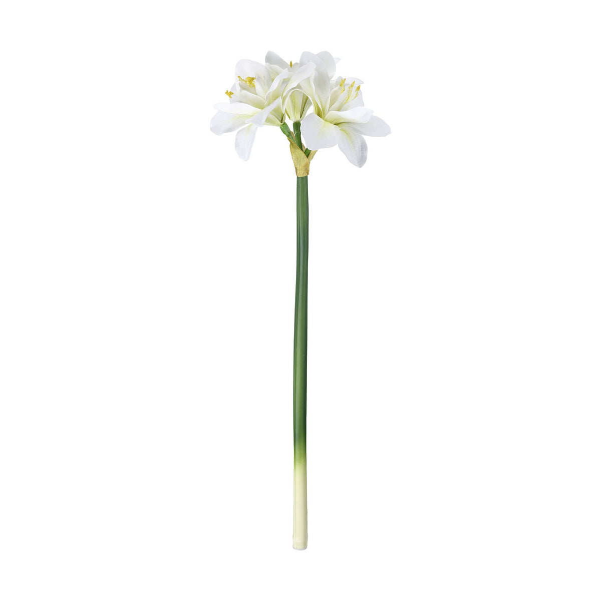 Kunstbloem Molave Wit 21x63cm