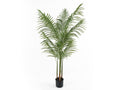 Kunstplant Kwaiboom
