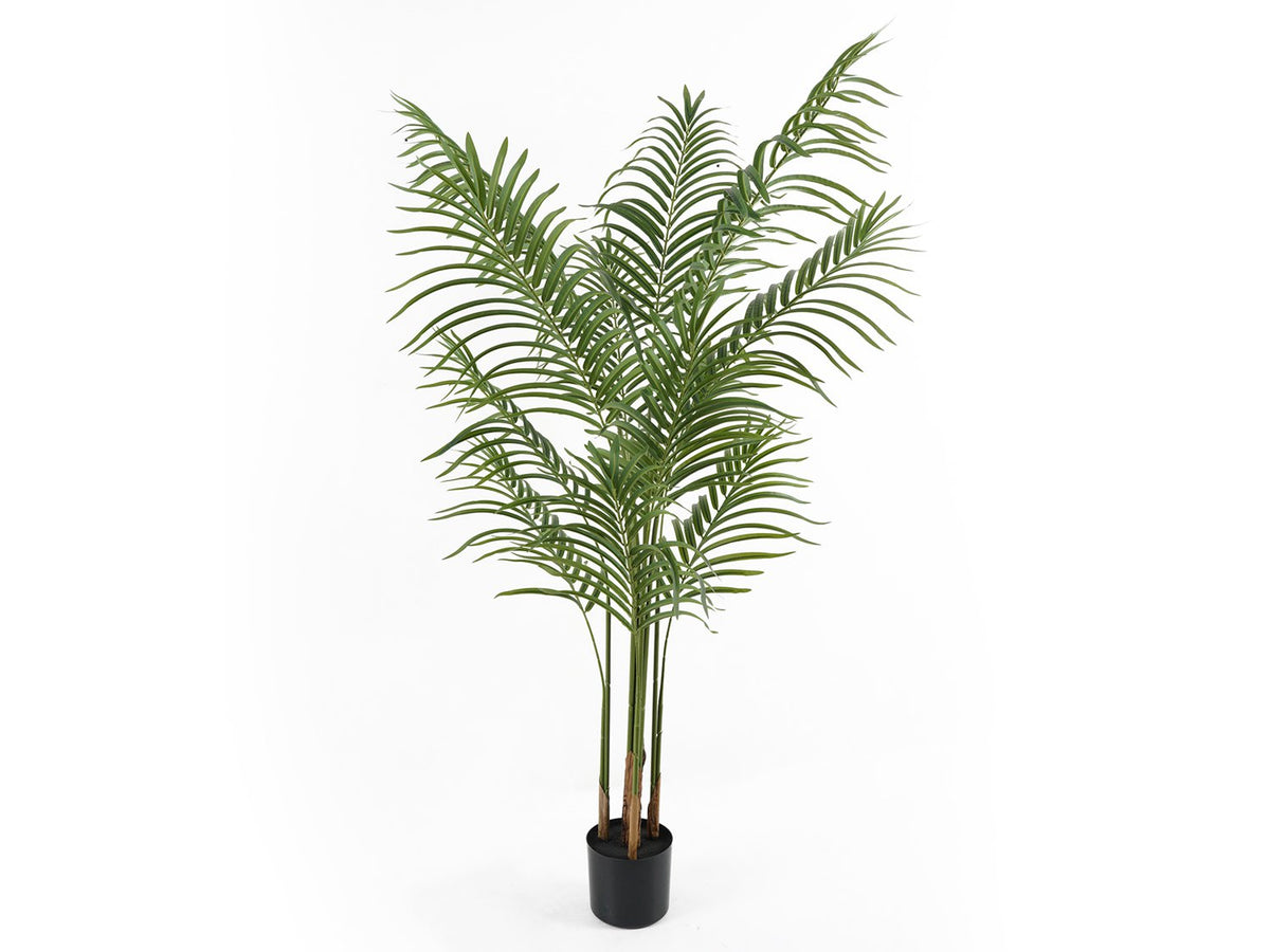 Kunstplant Kwaiboom