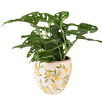 Bloempot Ø 14x14 cm Geel Keramiek Citroen Bloempot Binnen