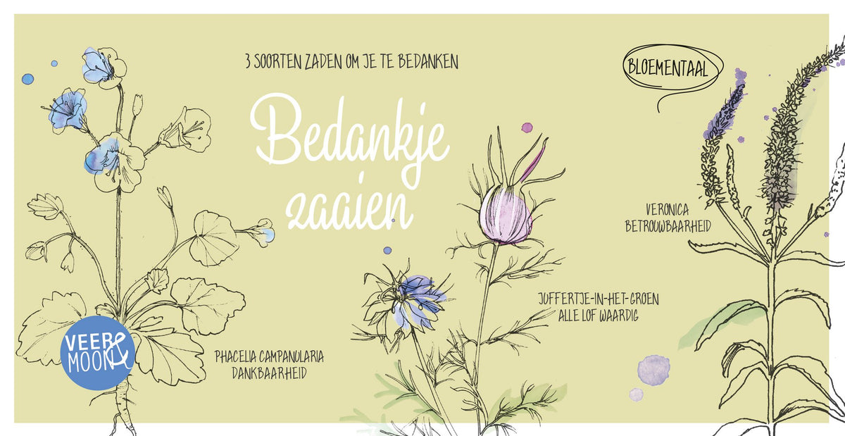 Cadeaudoosje Bedankje zaaien