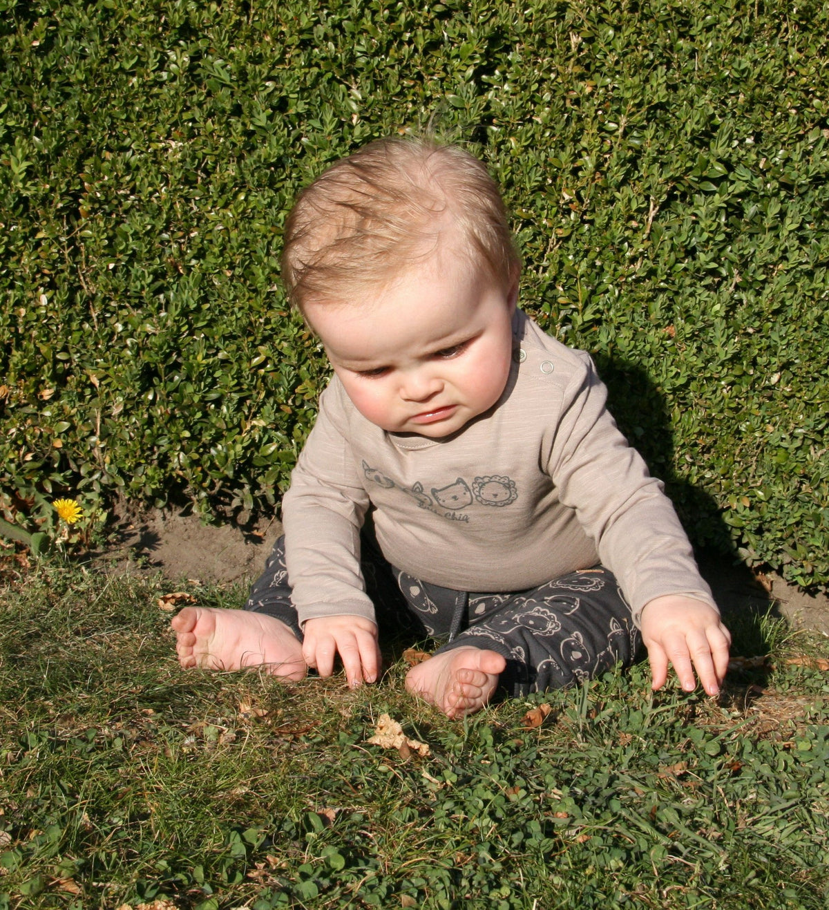 Little Chiq Baby Longsleeve beige dierenprint