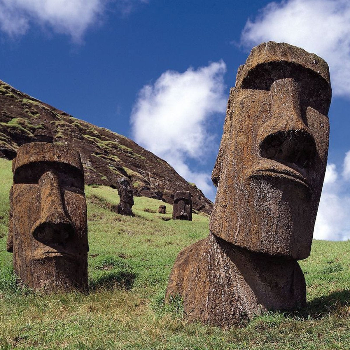 Easter Island binnen schilderij fotoprint 50x50cm