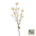 Prunus malaga tros beige 126cm