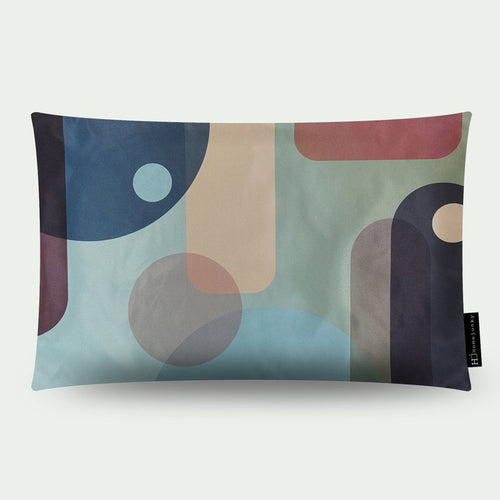 263 Pillow Roaring.2 60x40