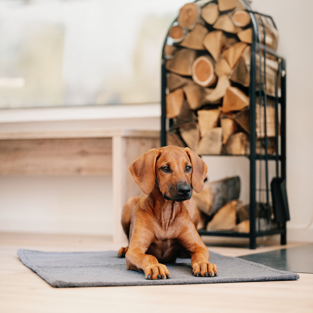 Teddy reis- en outdoordeken voor honden