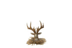 J-Line decoratie Rendier Hoofd - polyresin - donkerbruin/beige - small