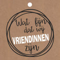 Cadeau kaartjes - Wat fijn vriendinnen - 20 stuks