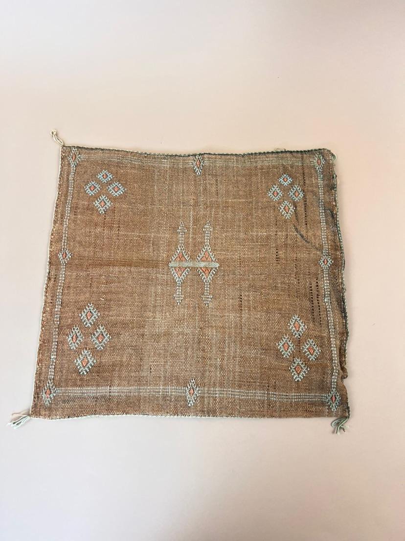 Cactus Silk Kussen