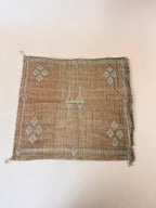 Cactus Silk Kussen