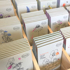 Set van 16 soorten zaden in houten kist