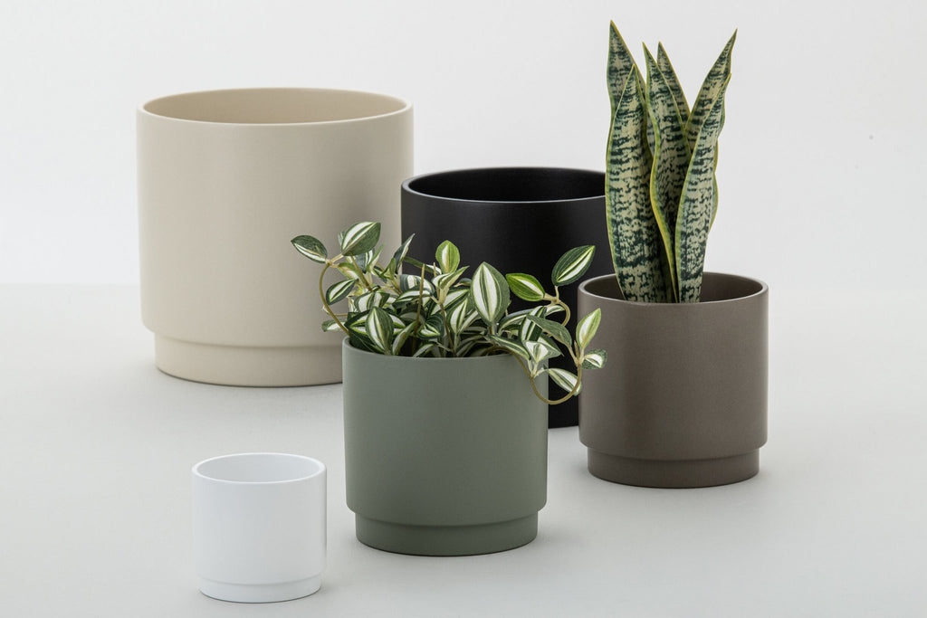 J-Line Dracaena Trifasciata In Pot Kunstmatig Groen Small