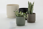 J-Line Dracaena Trifasciata In Pot Kunstmatig Groen Small