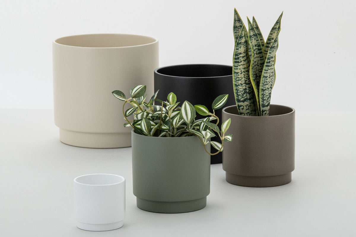 J-Line Dracaena Trifasciata In Pot Kunstmatig Groen Small
