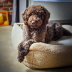 Teddy Ortho | Premium orthopedisch hondenbed