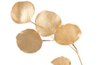 J-Line decoratietak Euclyptus Droogte bloemen - ride - goud