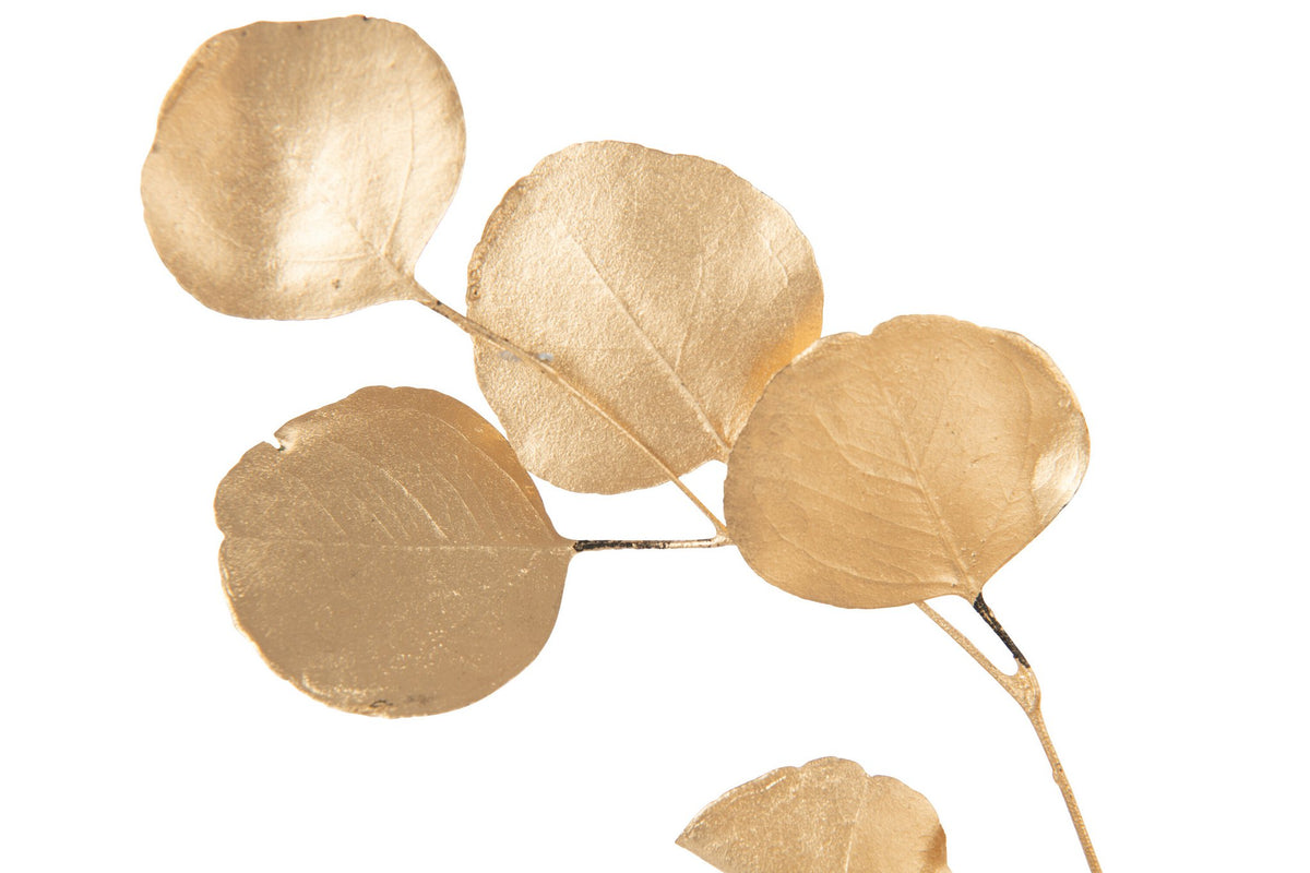 J-Line decoratietak Euclyptus Droogte bloemen - ride - goud
