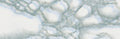 Carrara stevige Folie Mini rol grijs/blauw 45cmx2mtr