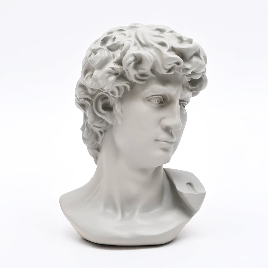 Witte David Bust Sculpture Michelangelo Geïnspireerd Klassiek Standbeeld voor Home Decor
