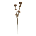 Kunstbloem 6x6x58 cm Bruin Kunststof