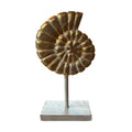 Gouden schelp op standaard