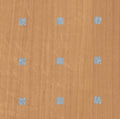 Decor Hout Els Middel Statische raamfolie Mini rol transparant 45cmx2mtr