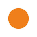 Blanco etiketten - Rond 25mm - fluor oranje