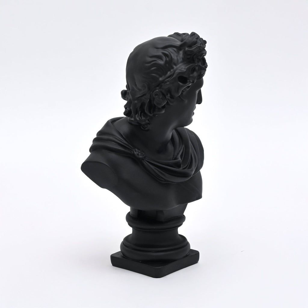 Zwarte Apollo buste sculptuur voor modern interieur