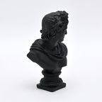 Zwarte Apollo buste sculptuur voor modern interieur