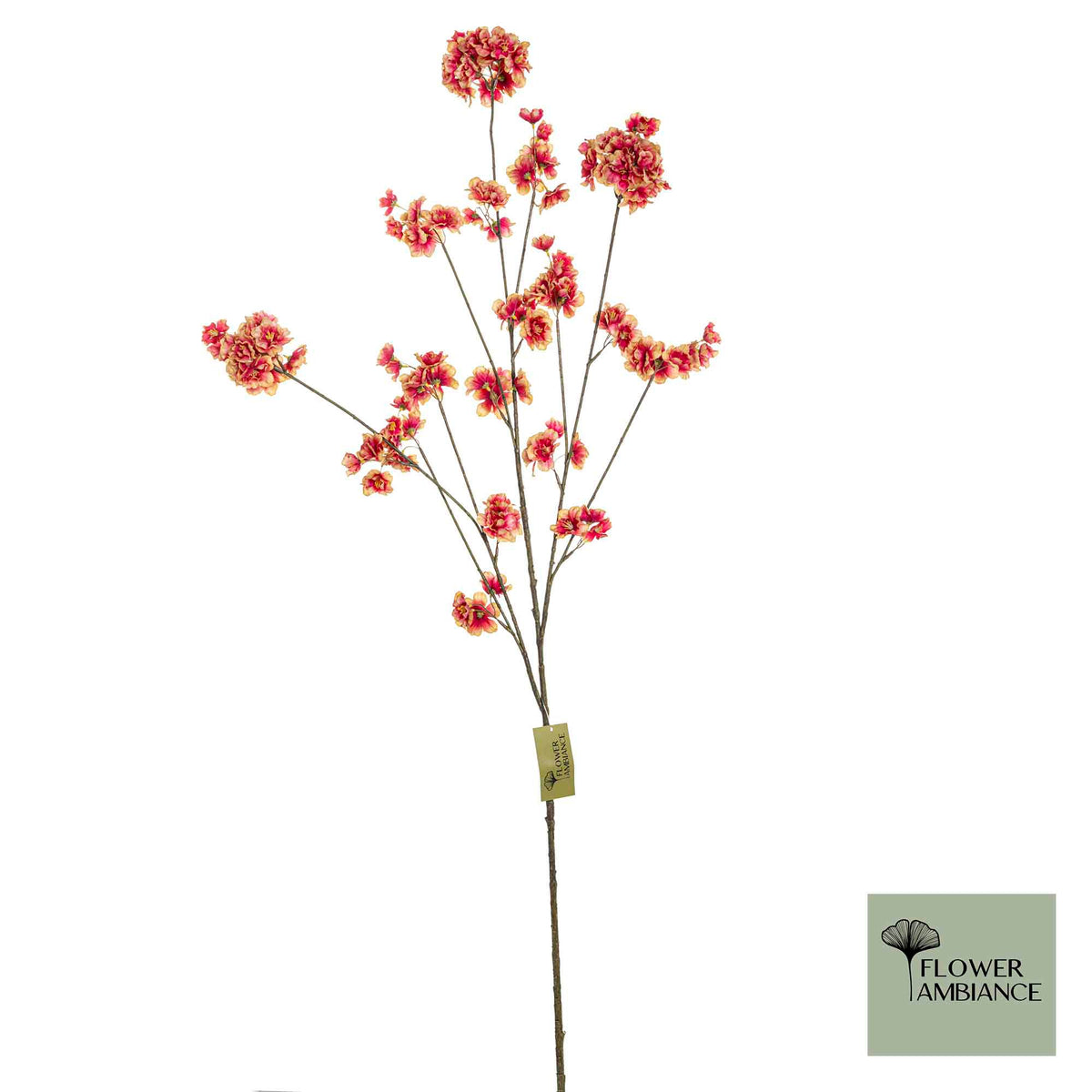 Prunus malaga burgundy beige 126cm
